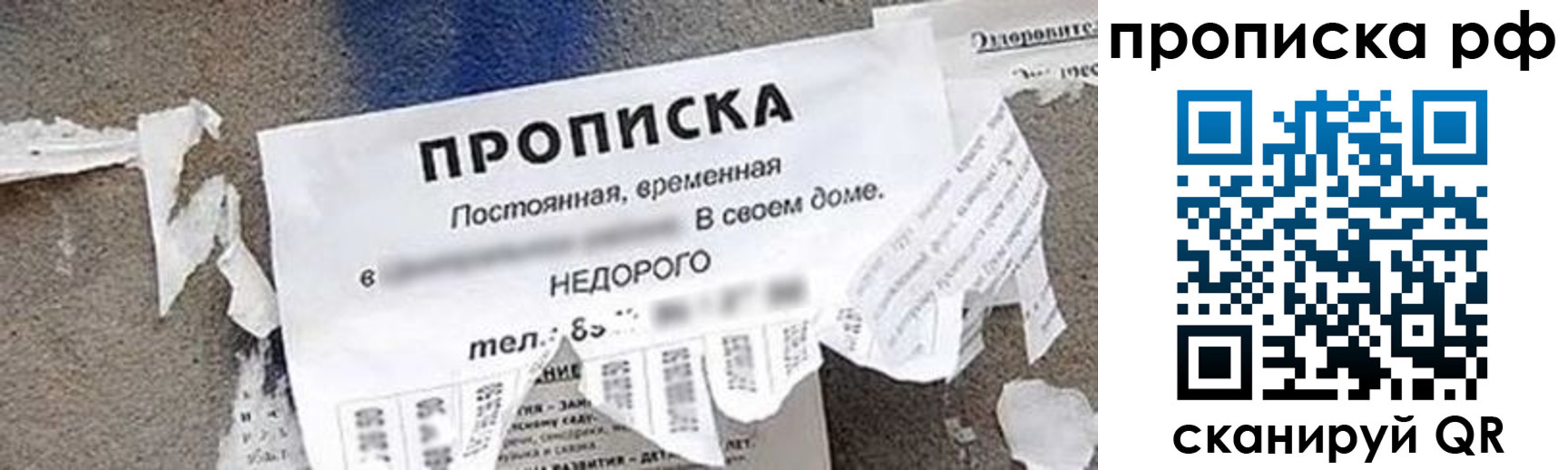 где прописаться в Всеволожске